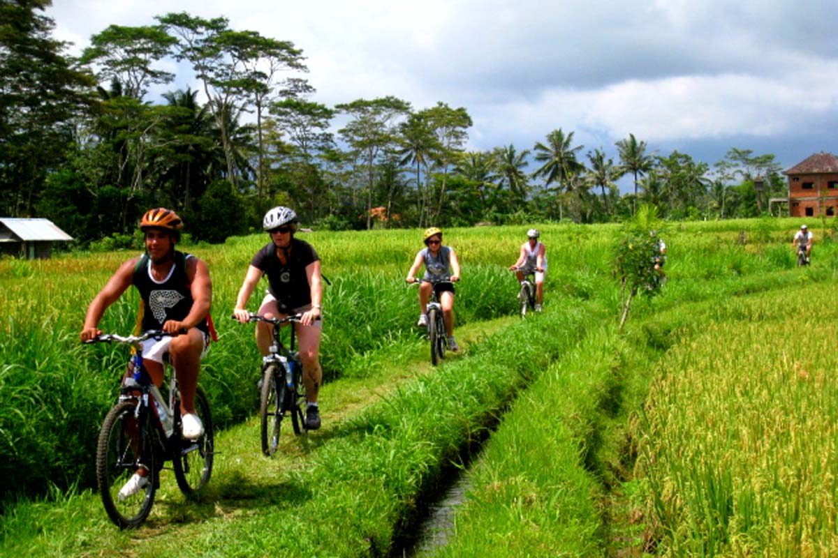 UBUD CYCLING