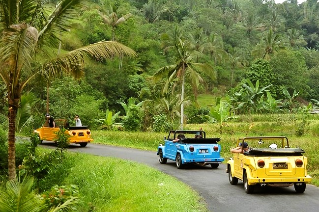 VW SAFARI TOUR